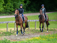 CH290522-22 - Charlie Hills Stable Visit